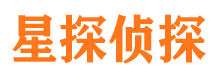 灯塔市私家侦探